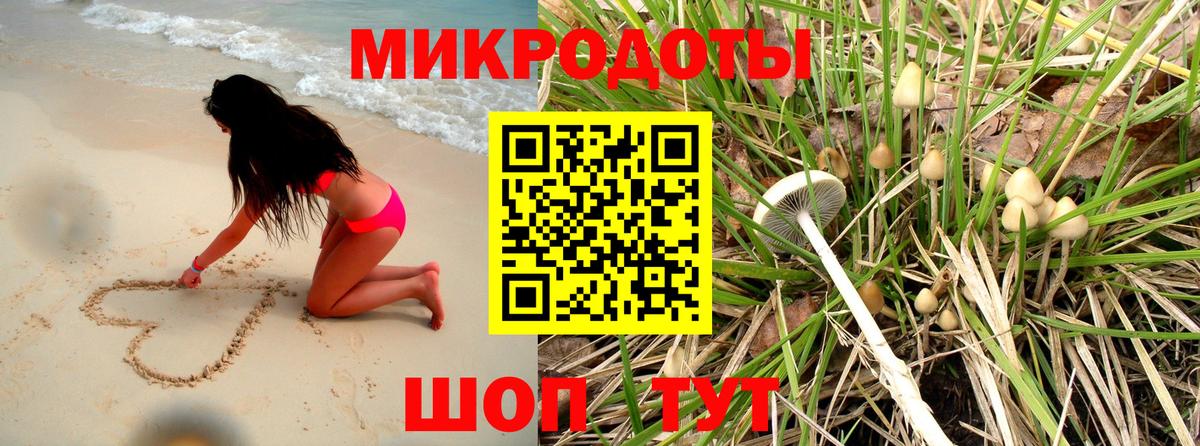 Шебекино  Галлюциногенные грибы Cubensis  магазин  наркотиков  Вход с VPN 