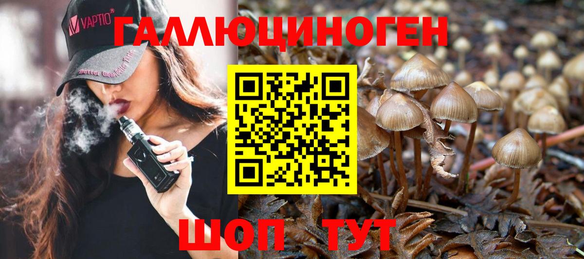 Псилоцибиновые грибы мухоморы Шебекино